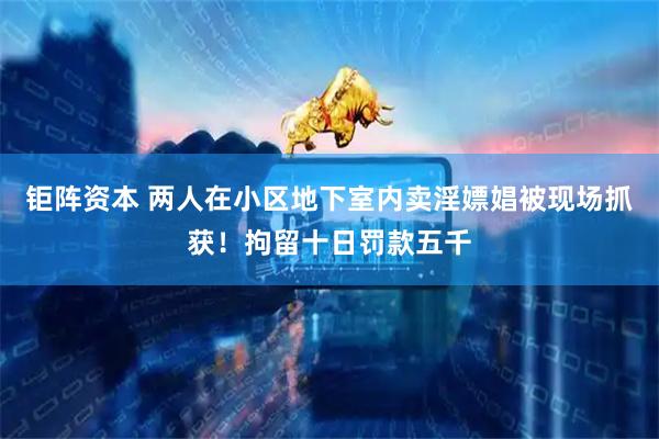 钜阵资本 两人在小区地下室内卖淫嫖娼被现场抓获！拘留十日罚款五千