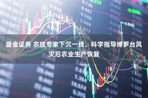 盛金证券 农技专家下沉一线，科学指导博罗台风灾后农业生产恢复