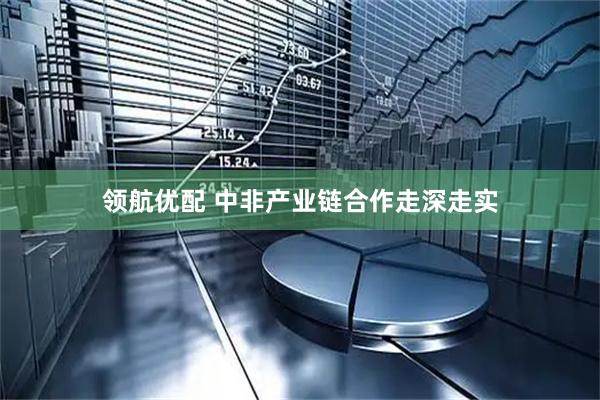 领航优配 中非产业链合作走深走实