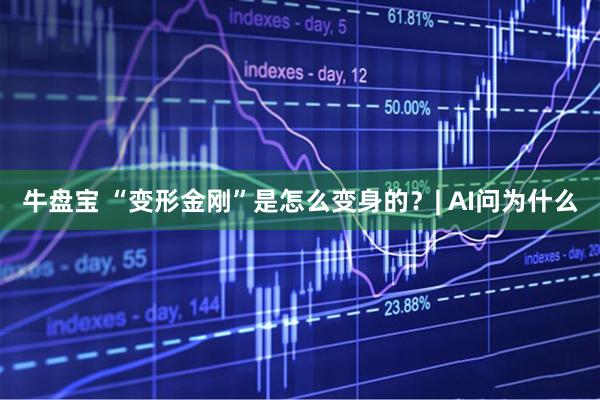 牛盘宝 “变形金刚”是怎么变身的？| AI问为什么