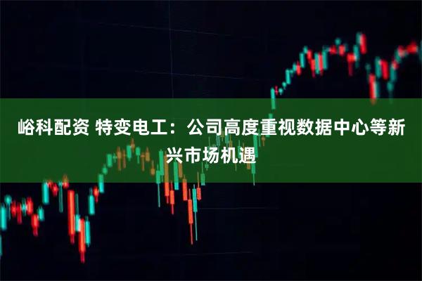 峪科配资 特变电工：公司高度重视数据中心等新兴市场机遇